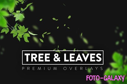 140 Tree and Leaves Overlays - 6399531