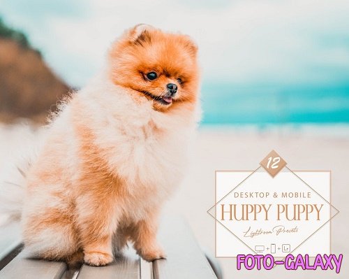 12 Huppy Puppy Lightroom Presets, Pet Presets, Bright Desktop LR Filter
