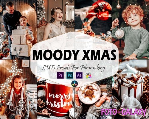 10 Moody Xmas Video LUTs Presets, Christmas LUT preset, Bright Fashion Portrait filter