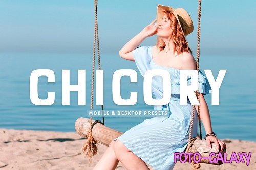 Chicory Pro Lightroom Presets - 6975437