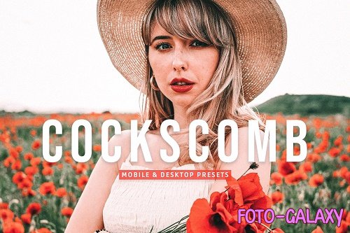 Cockscomb Pro Lightroom Presets - 6975438