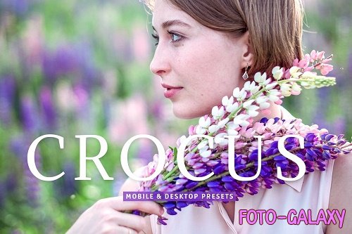 Crocus Pro Lightroom Presets - 6975440