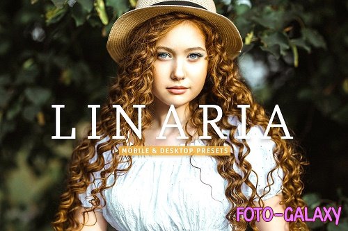 Linaria Pro Lightroom Presets - 6975442