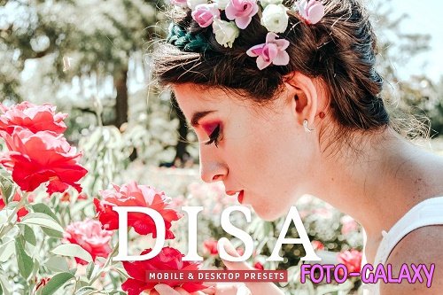 Disa Pro Lightroom Presets - 6977385