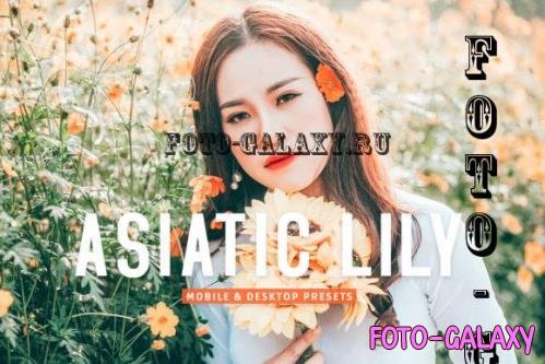 Asiatic Lily Pro Lightroom Presets - 7003212