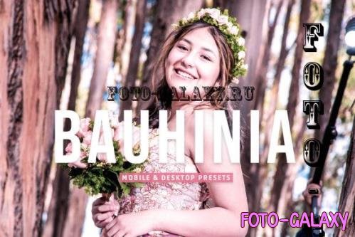 Bauhinia Pro Lightroom Presets - 7003225