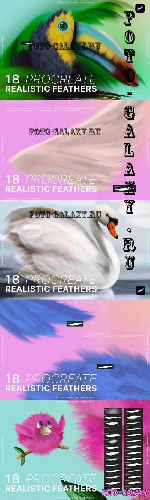 Procreate Realistic Feather Brushes - 6802309