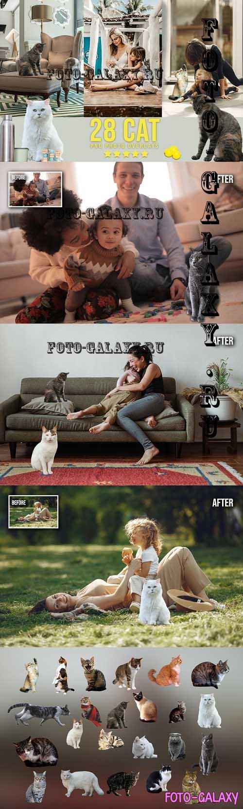 28 Cat Photoshop Overlays - 6737913
