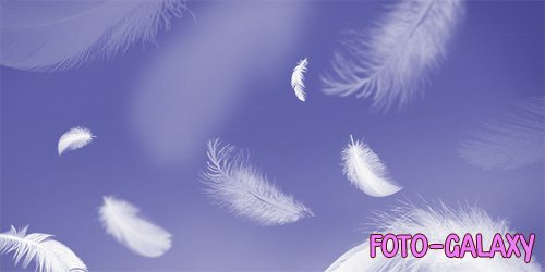 Psd Periwinkle Blue Feather Background