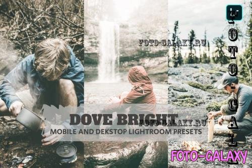 Dove Bright Lightroom Presets Dekstop and Mobile