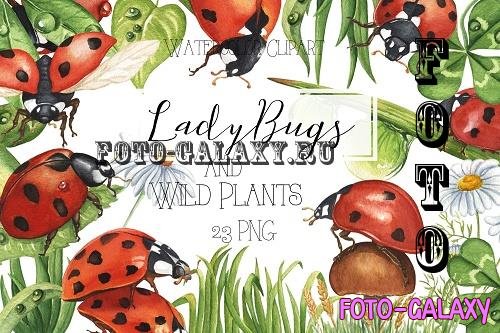 Watercolor Ladybug and Wild Plants Clipart. Summer Clipart - 1907685