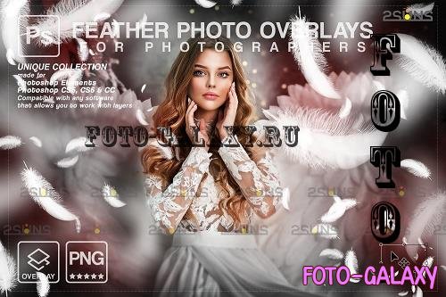White Feather photo overlays png V3 - 1998034