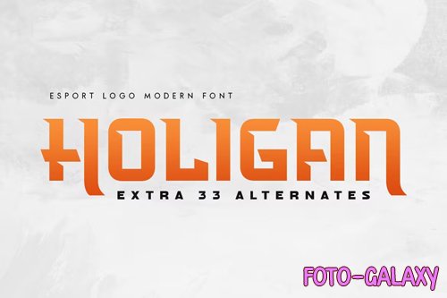 Holigan - Esport Logo Modern Font OTF 