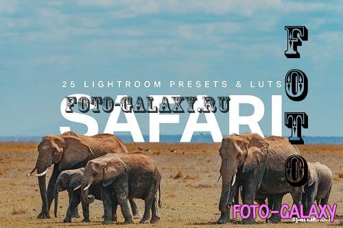 25 Safari Lightroom Presets LUTs - 7538790