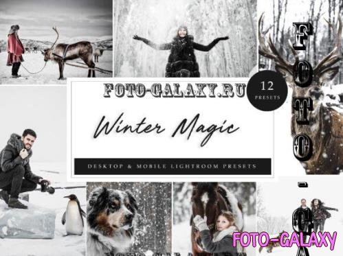12 x Lightroom Presets, Winter Magic - 5962774