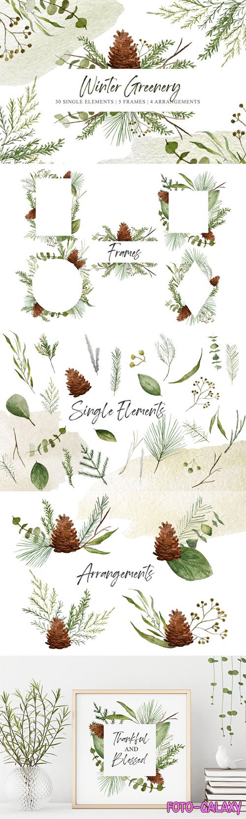 Watercolor Winter Greenery PNG Cliparts Pack