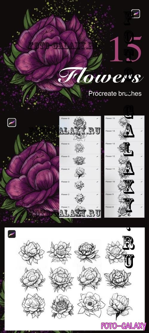 Peonies Procreate Brush Set. Floral Stamps - 2269149