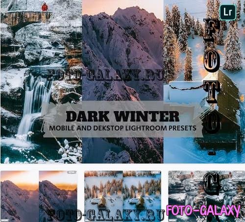 Dark Winter Lightroom Presets Dekstop and Mobile