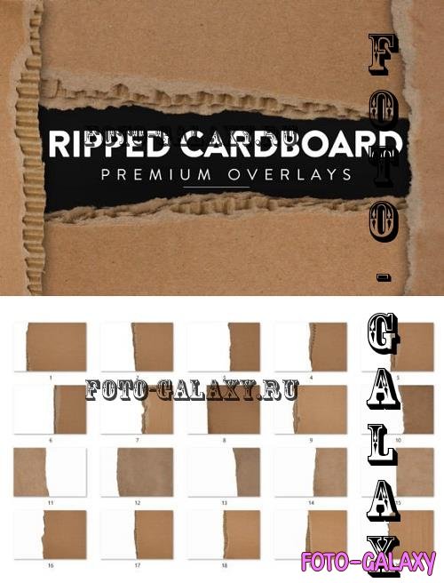 20 Ripped Cardboard Overlay