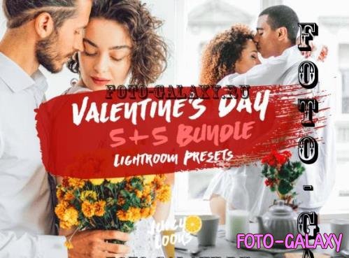 Valentine's Day Lightroom Preset Bundle