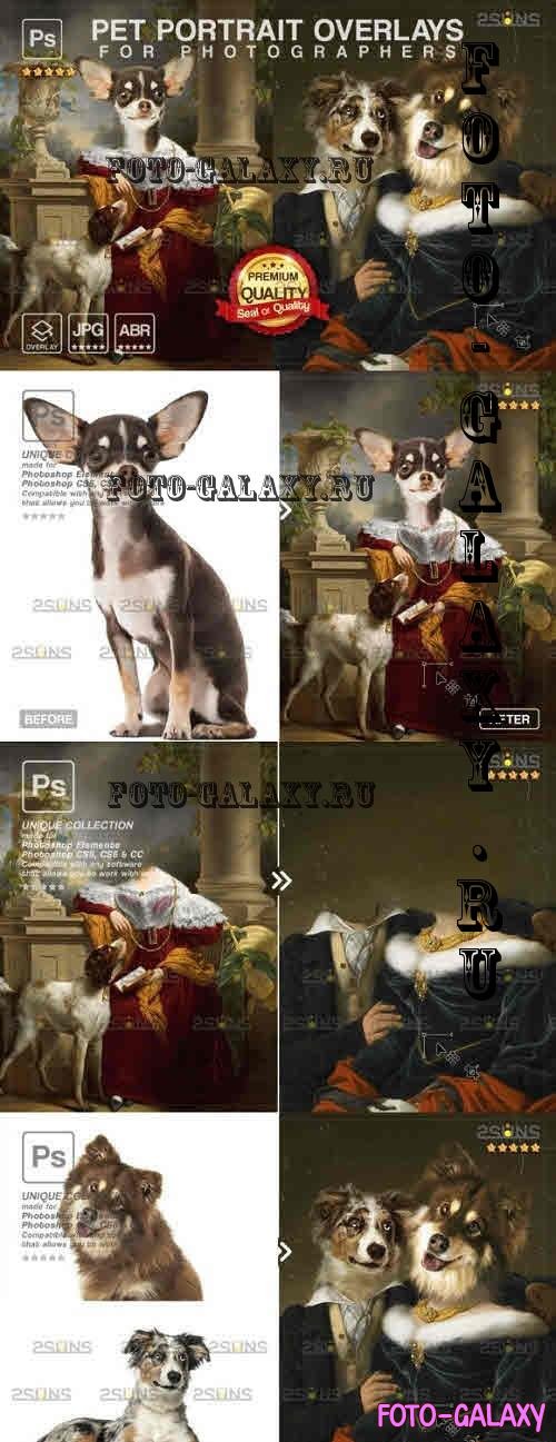 Royal pet portrait digital backdrop V25 - 10965346
