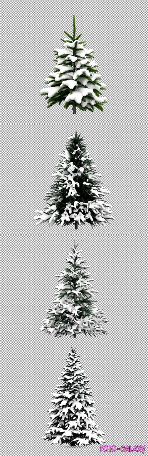 PSD beautiful Christmas tree in snow in 3d rendering isolated