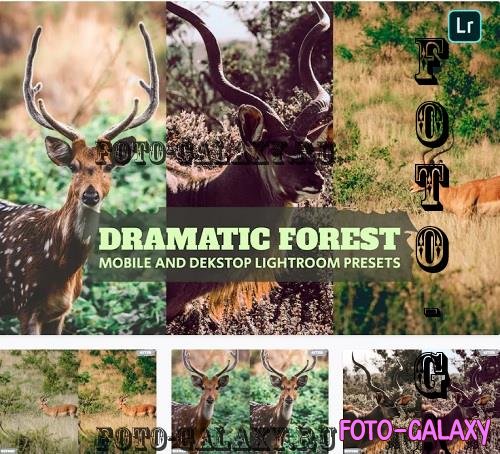 Dramatic Forest Lightroom Presets Dekstop Mobile - 5G94X9G