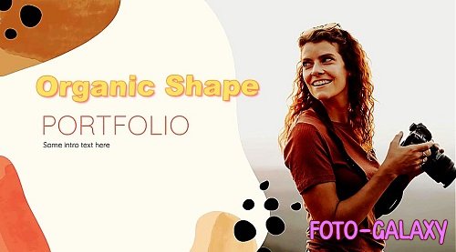 Organic Shape Portfolio 1219627 - Project for After Effects