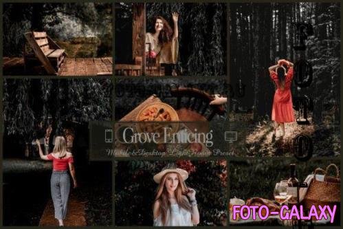 12 Grove Enticing Mobile & Desktop Lightroom Presets, Red - 2569800