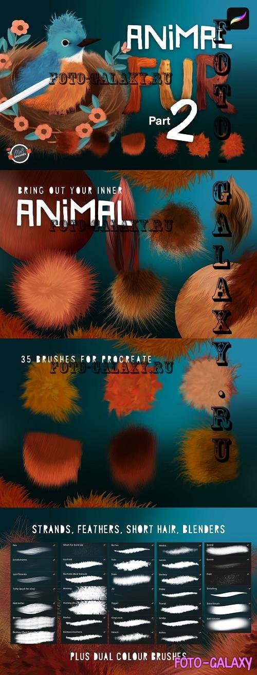 Animal Fur 2 - 16491577