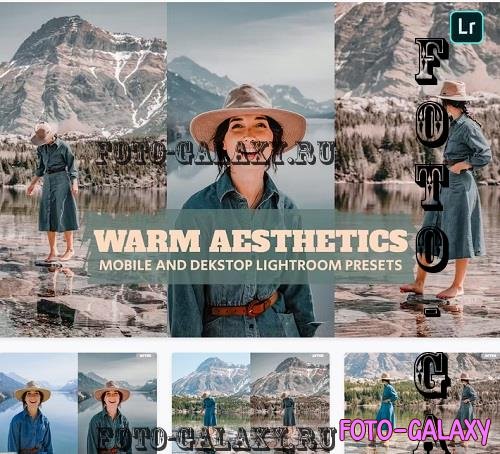 Warm Aesthetics ightroom Presets Dekstop Mobile - 69C6PEL