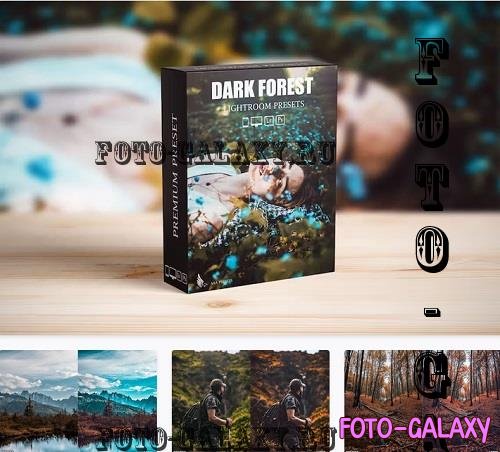 Dark and Moody Lightroom Presets - 8DU9LCY