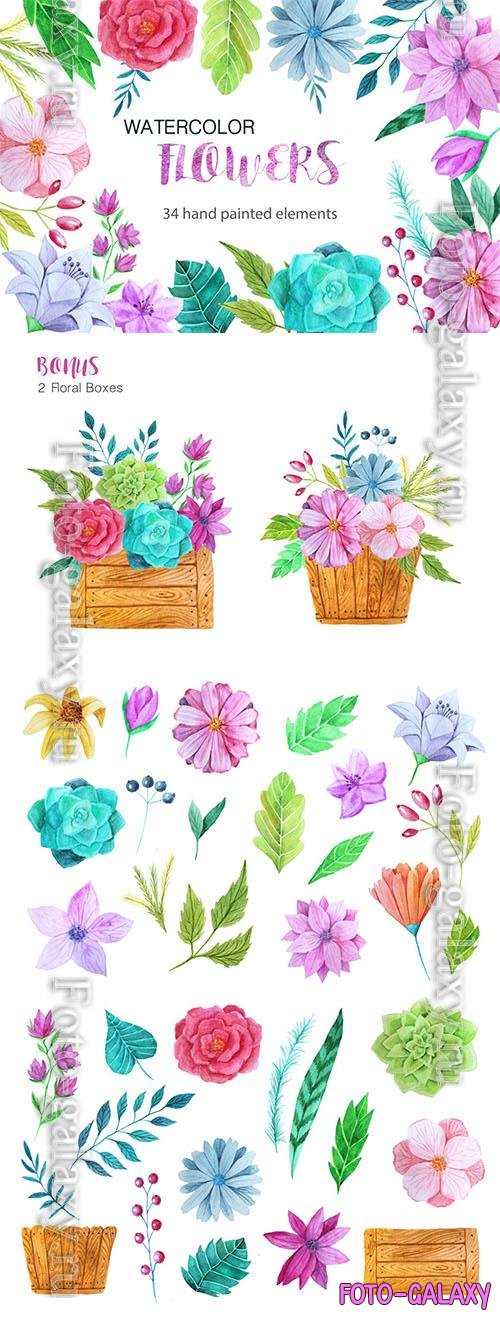 Watercolor flower pack design elements