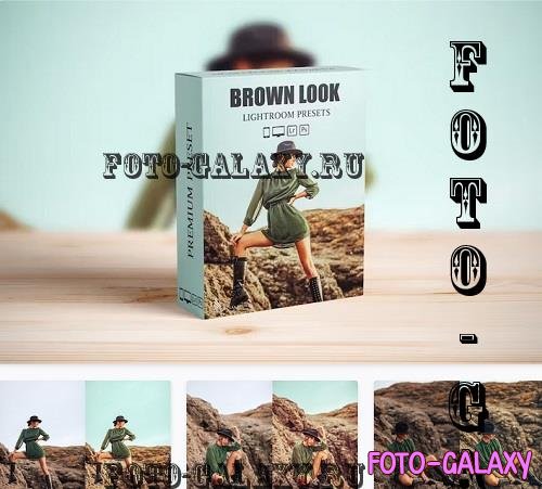 Cinematic Brown Film Lightroom Presets - 37441764