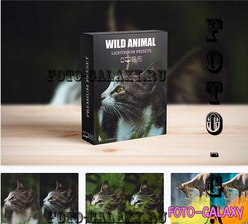 Wild Life Animal Lightroom Presets Pack  - 38615412