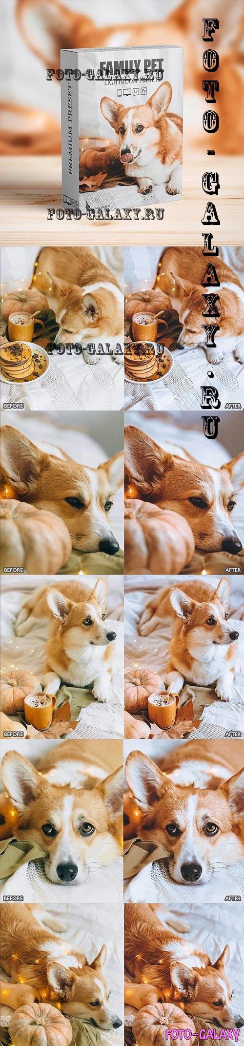 Dog and Pet Lovers Lightroom Presets for Mobile and Desktop - 33968057