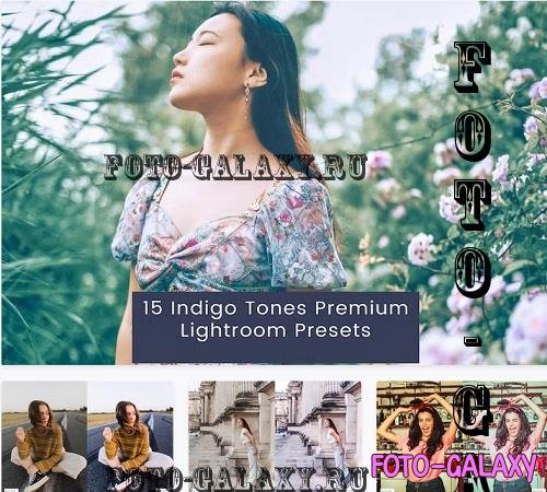 15 Indigo Tones Premium Lightroom Presets - EUNHH28
