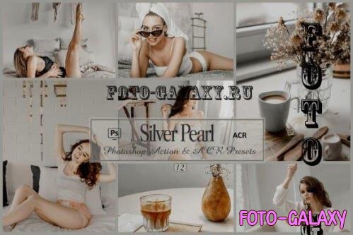 12 Silver Pearl Photoshop Actions And ACR Presets, Gray Tone - 2608801