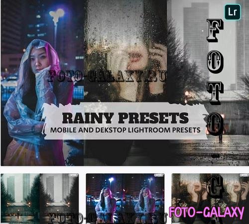 Rainy Presets Lightroom Presets Dekstop and Mobile - TL5X728