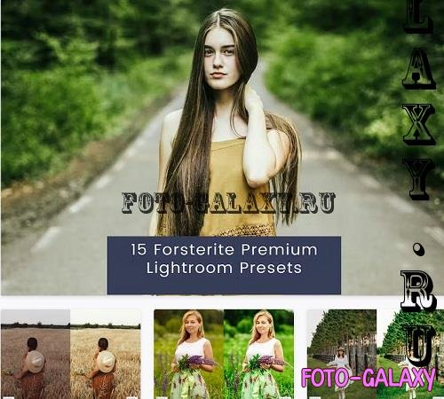 15 Forsterite Premium Lightroom Presets - 8AD394K
