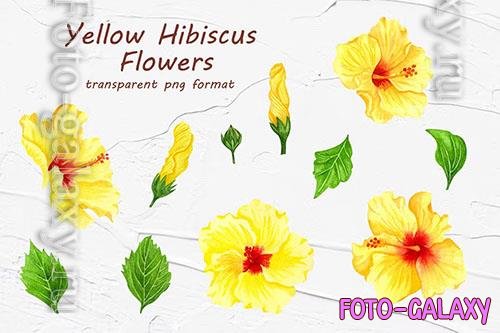 Yellow Hibiscus Flowers [PNG]