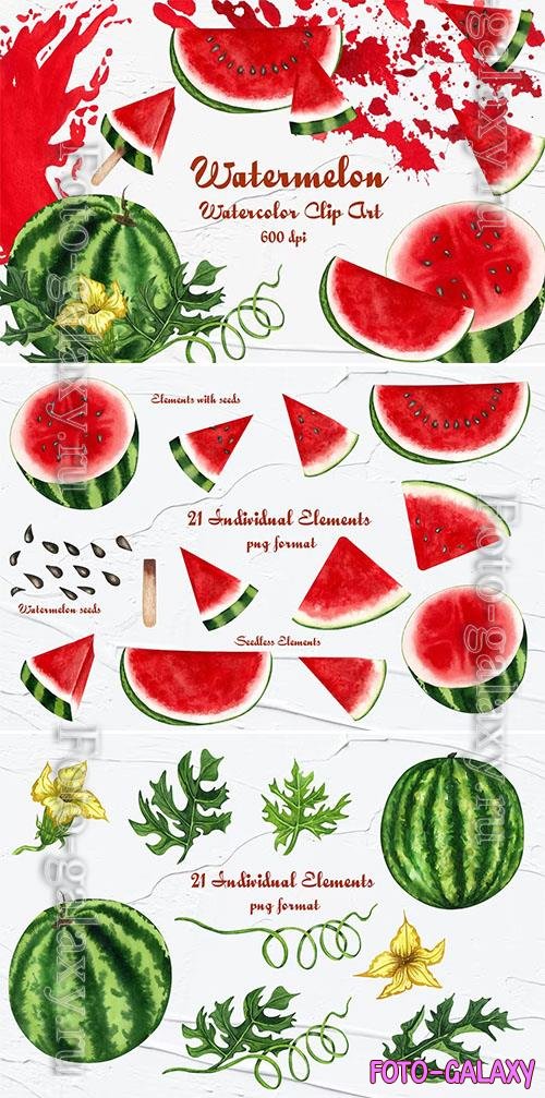 Watermelon Watercolor Clipart [PNG]