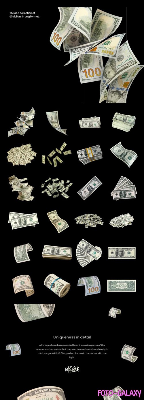 Professional Dollars PNG Collection