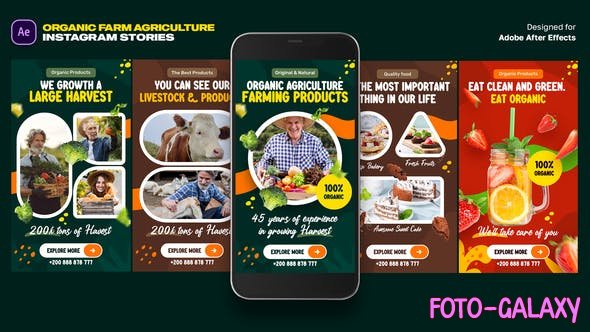 Videohive - Organic Food Instagram Stories 46320755 