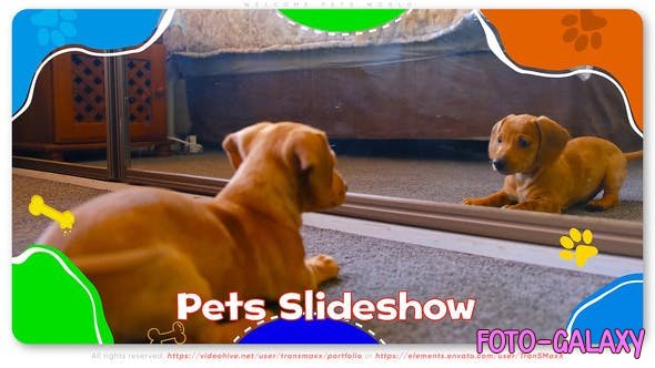 Videohive - Welcome Pets World 46298871 