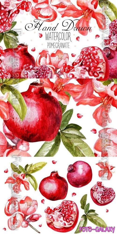Beautiful Watercolor Pomegranates