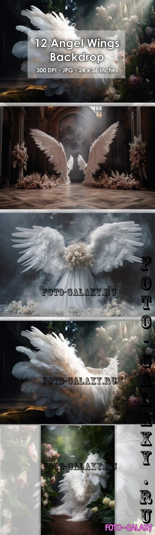 12 White Angel Wings Interior Backdrop