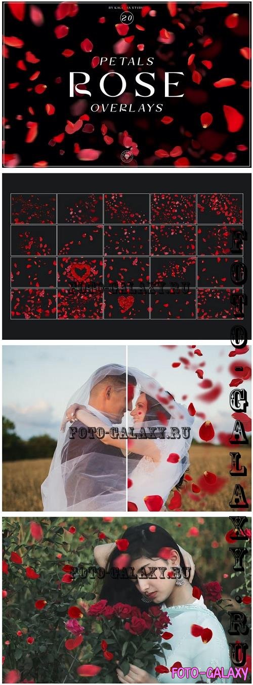 Rose Petals Overlays - MH8JE7R