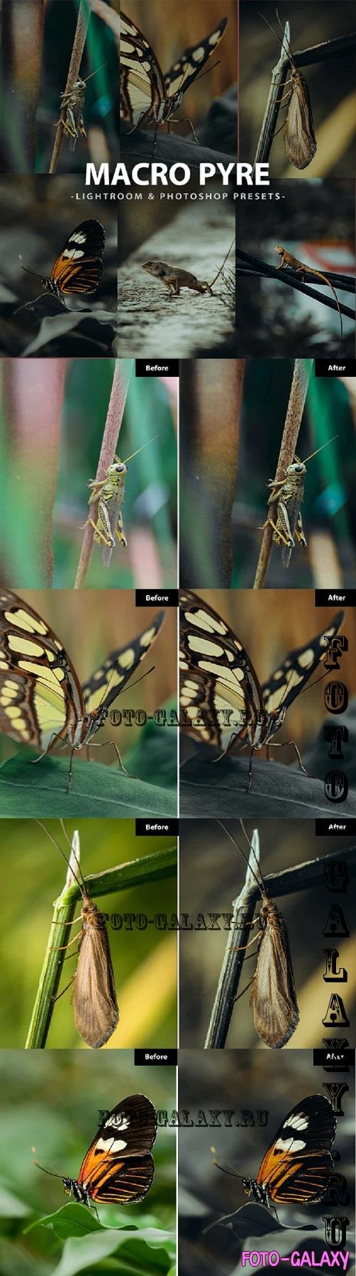 6 Macro Pyre Lightroom and Photoshop Presets - 46543010