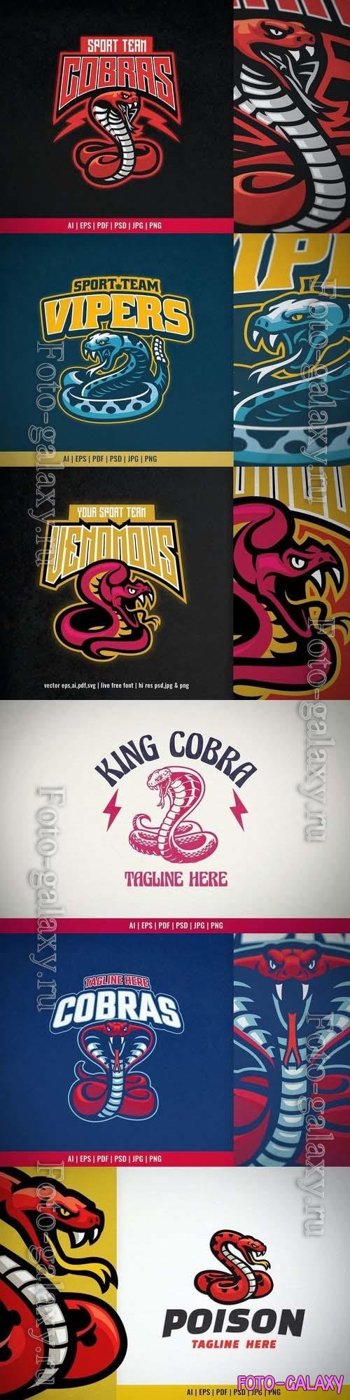 Cobra Snake Mascot Logo Sport and Esport